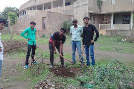 Vruksharopan 6-8-2014 